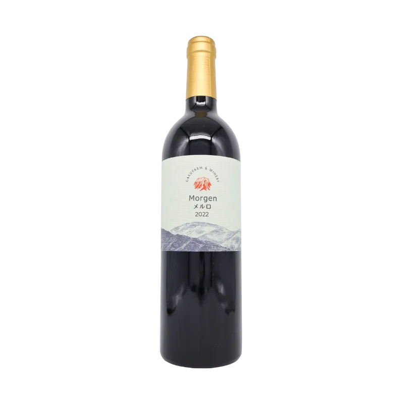 Morgen　メルロ　 2022（赤）750ml