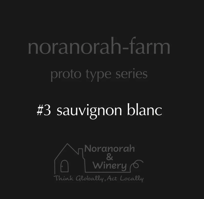 proto type series #3 sauvignon blanc