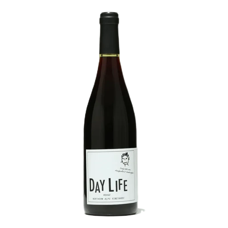 DAY LIFE