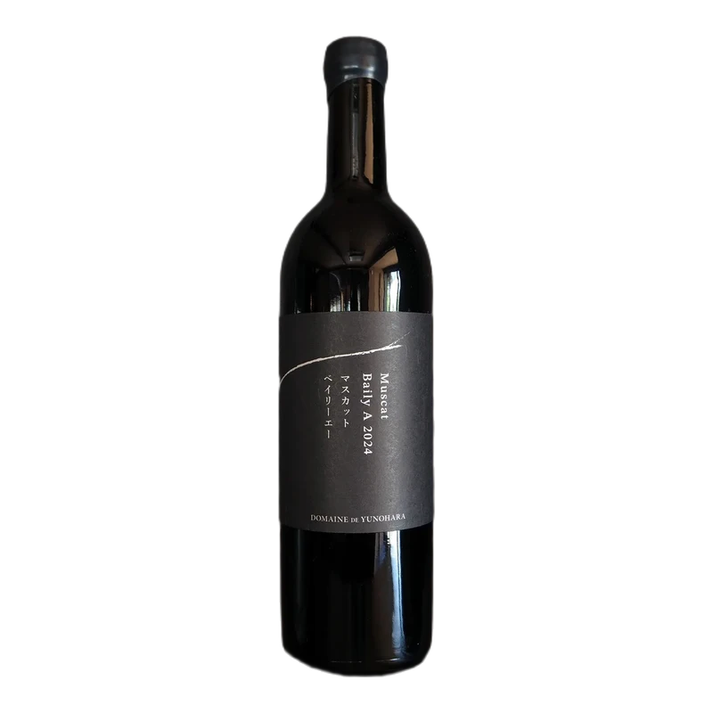 Muscat Bailey A