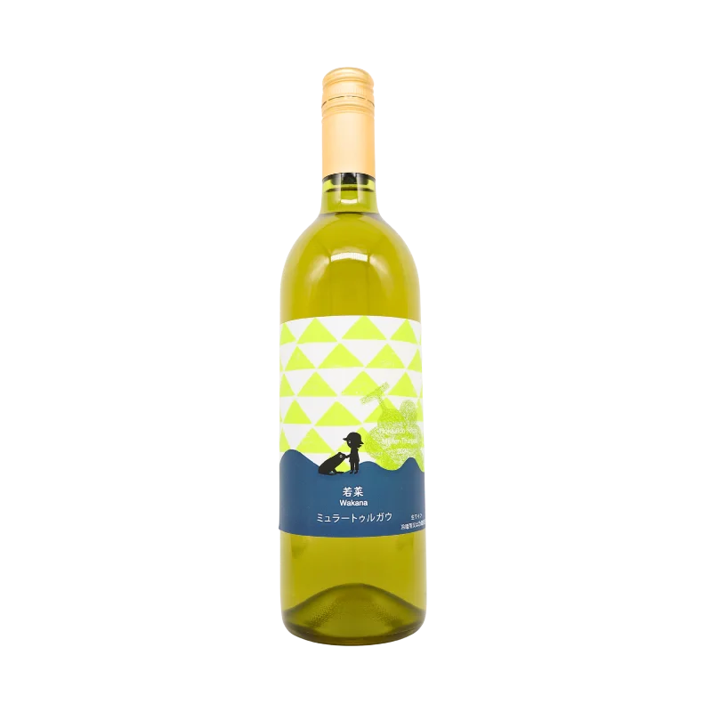 北海道余市産  若菜　ミュラートゥルガウ　2024（白）750ml