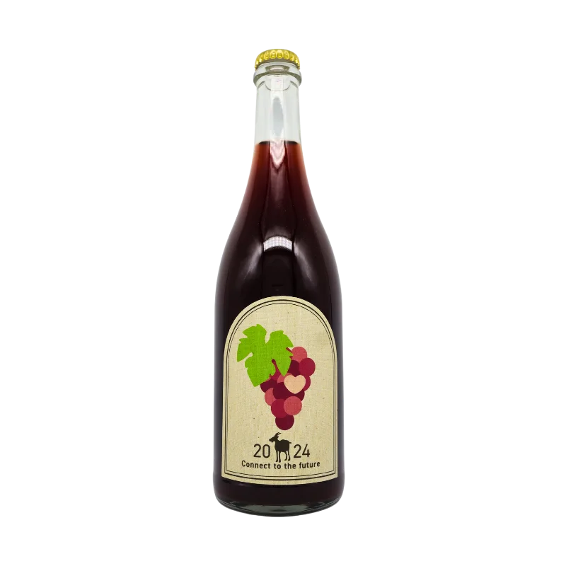 Connect to the future（葡萄の房）2024（ロゼ）750ml
