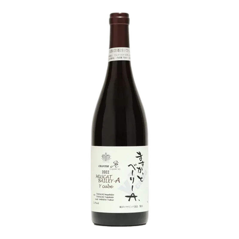 シャンテY.A ますかっと・べーりーA Yキューブ