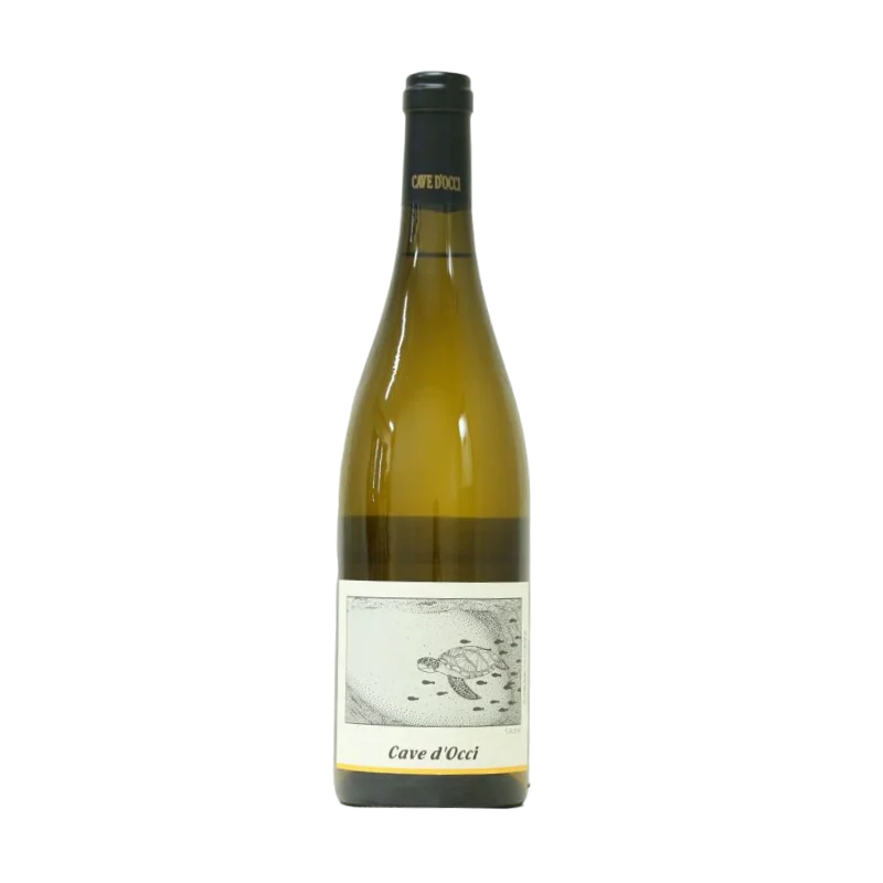 うみがめ(ソーヴィニヨン・ブラン)2024(白)750ml