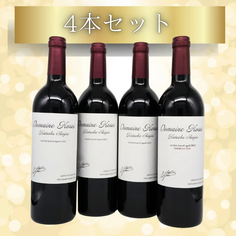 塩尻片丘メルローバレルエイジド（赤）750ml【垂直試飲セット】