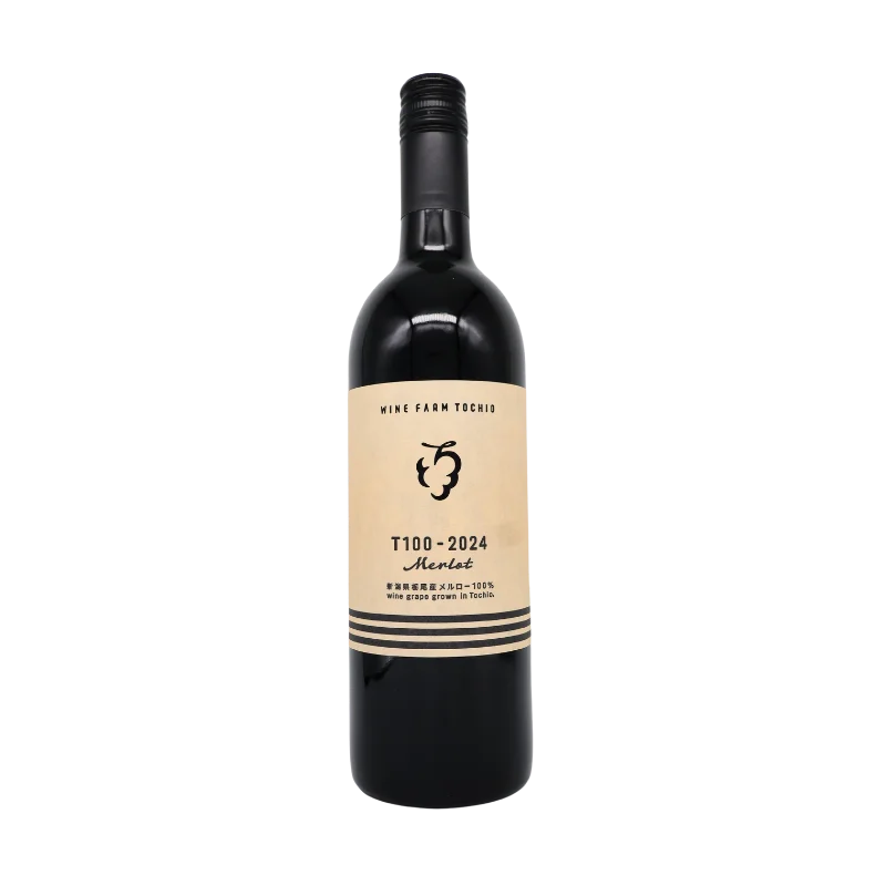 T100 メルロー 2024（赤）750ml