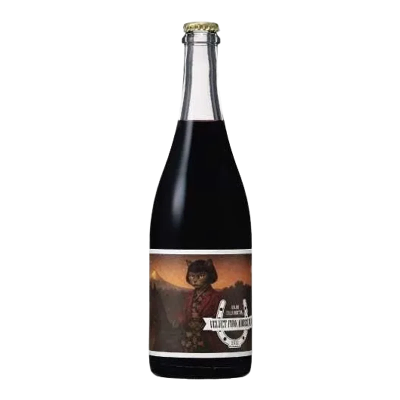 ホンジョーコラボ ヴェルヴェット・ファンク