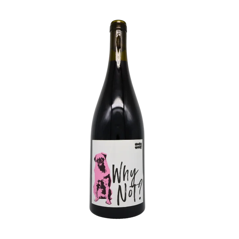ホワイ・ノット？ピノ・ノワール　2023（赤）750ml