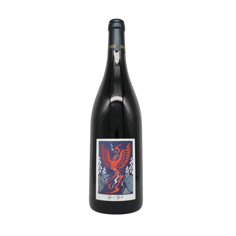 桐に鳳凰 Pinot Noir 2023(赤)750ml