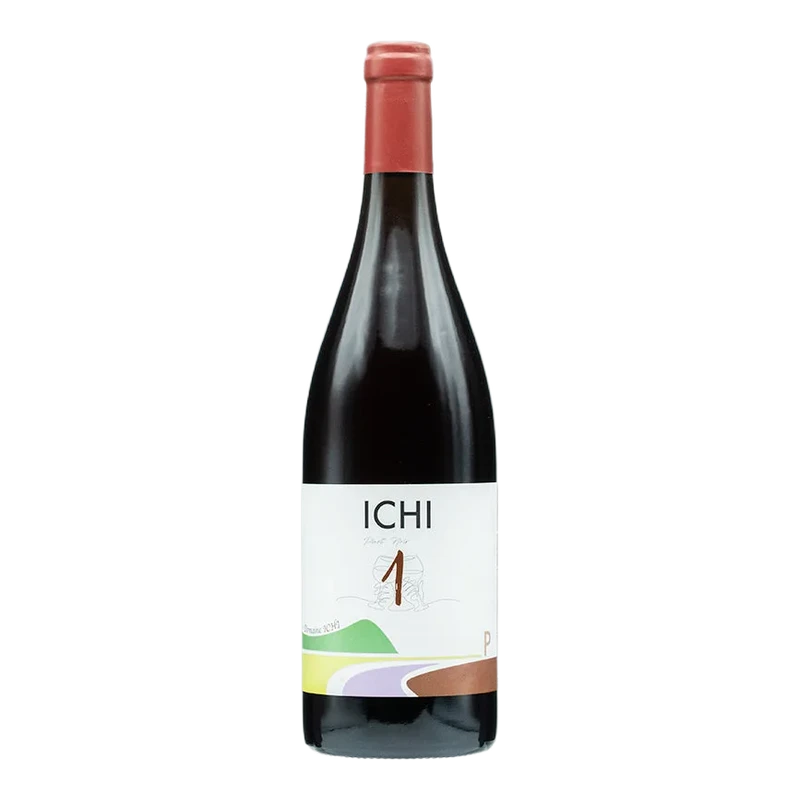 ICHI-P