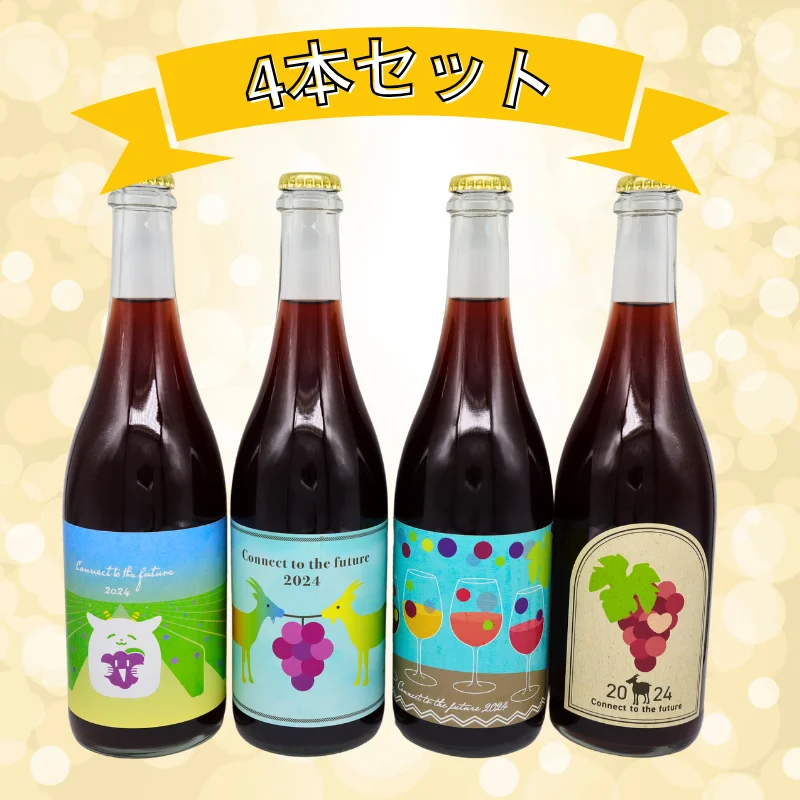 Connect to the future 2024（ロゼ）750ml【コンプリートセット】
